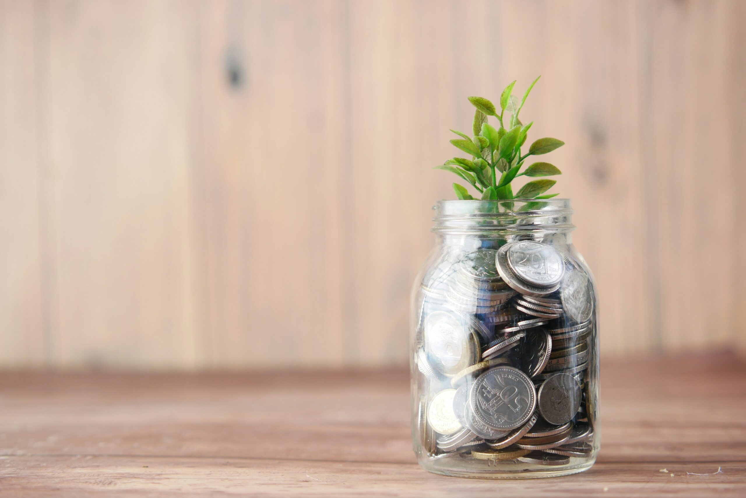 Jar of coins with a plant growing out of it
